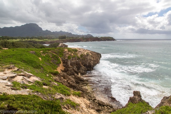 2018-06-Hawaii-49