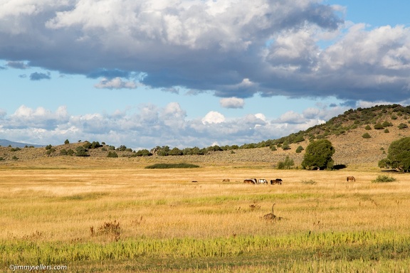 2016-09-Wyoming-10