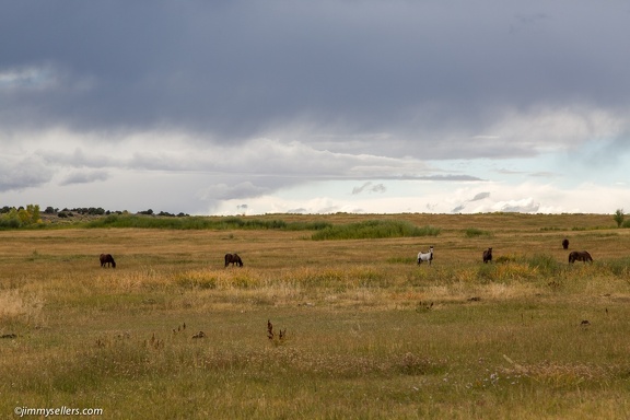 2016-09-Wyoming-15