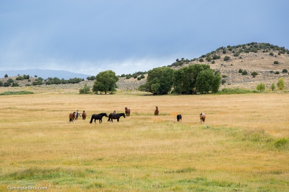 2016-09-Wyoming-21