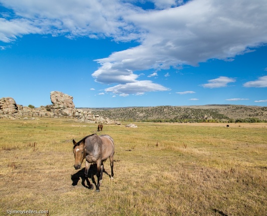 2016-09-Wyoming-328