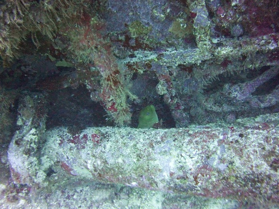 2016-05-Tanya-diving-Mexico-21