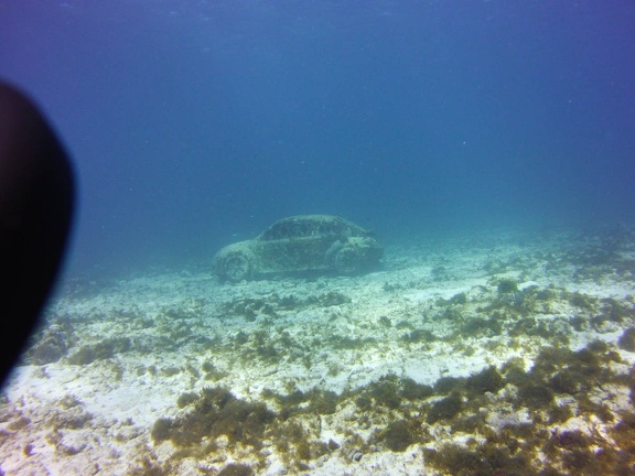2016-05-Tanya-diving-Mexico-34
