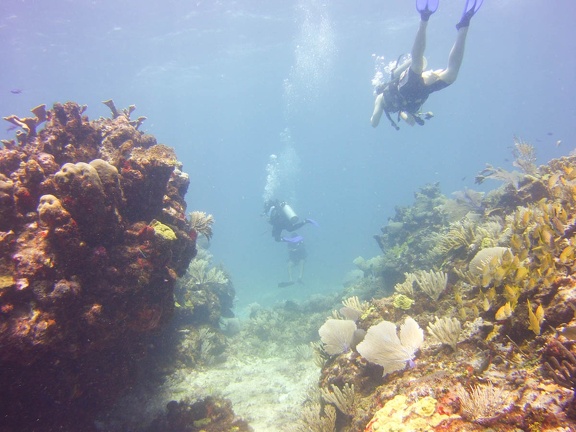 2016-05-Tanya-diving-Mexico-44