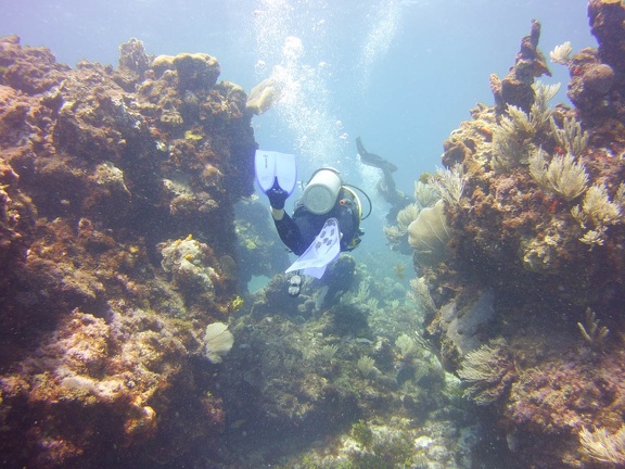 2016-05-Tanya-diving-Mexico-47