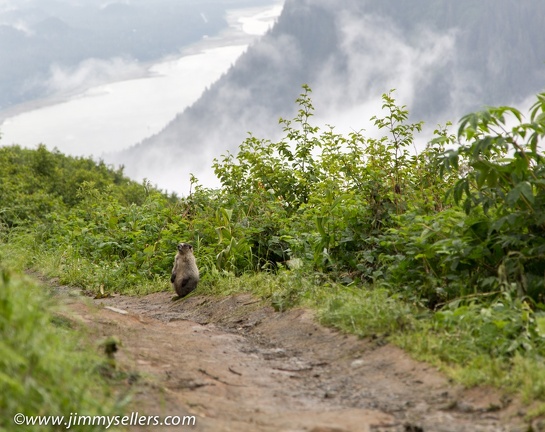 Alaska-2015-07-87