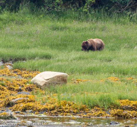 Alaska-2015-07-305