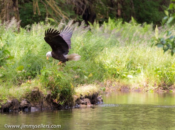 Alaska-2015-07-617