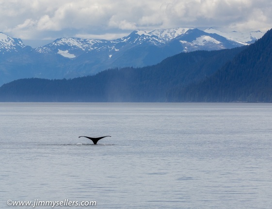 Alaska-2015-07-1141