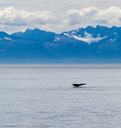 Alaska-2015-07-1155