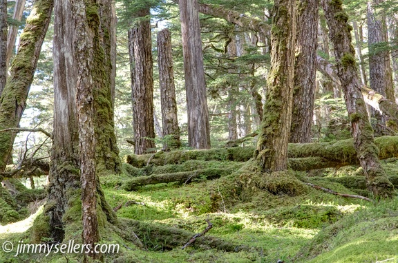 Alaska-2015-07-1341-HDR