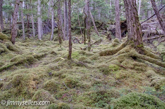 Alaska-2015-07-1354-HDR