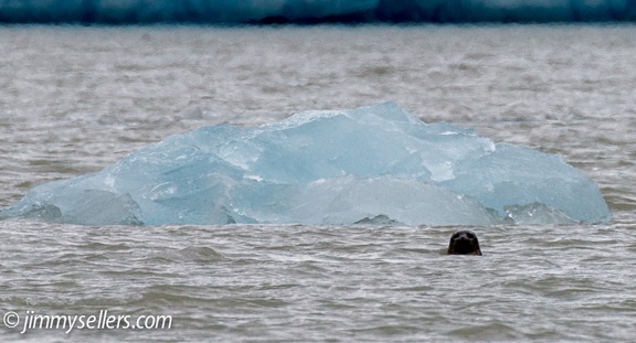 Alaska-2015-07-1628