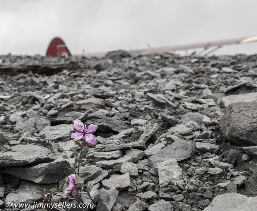 Alaska-2015-07-2080