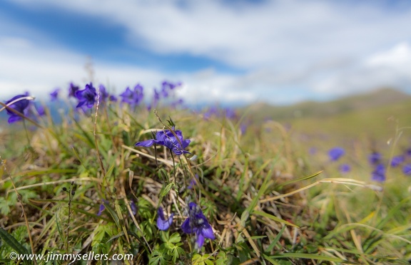 Alaska-2015-07-2230