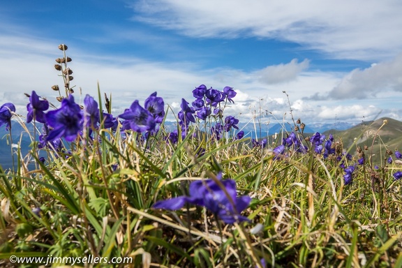 Alaska-2015-07-2236