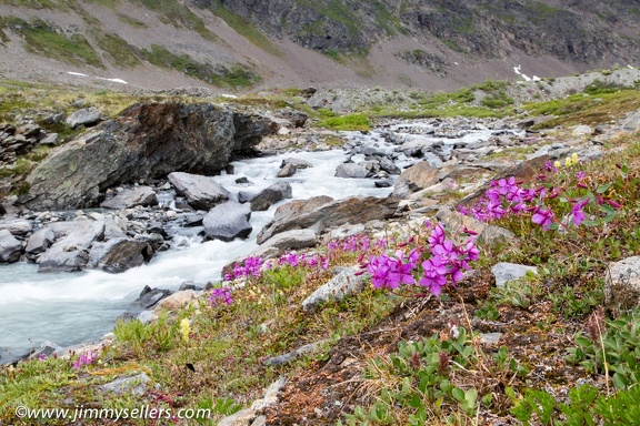 Alaska-2015-07-2360