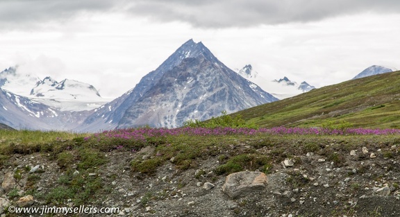 Alaska-2015-07-2374