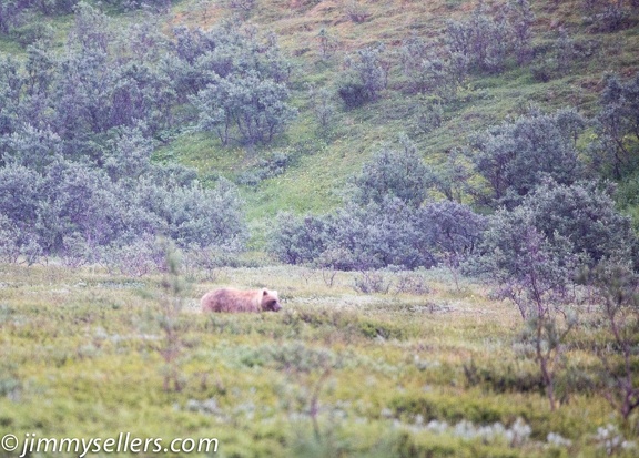 Alaska-2015-07-2815