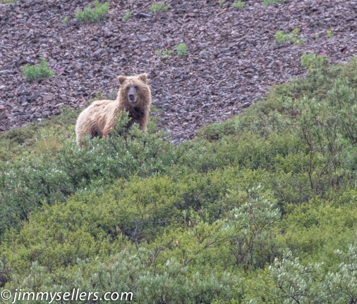 Alaska-2015-07-2911