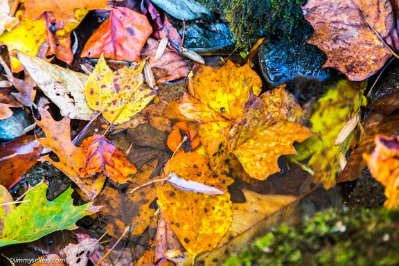 2014-10-26-Shenandoah-53