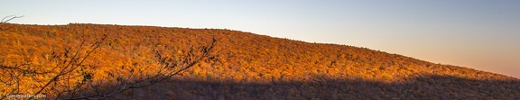 2014-10-26-Shenandoah-126