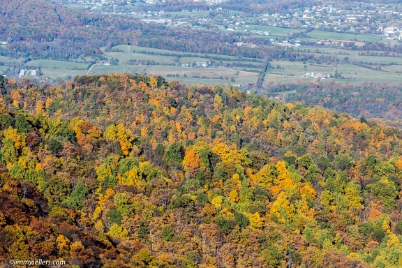 2014-10-26-Shenandoah-201