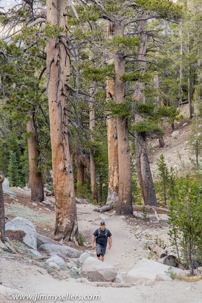 2014-09-Yosemite-550