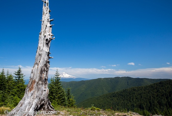 2014-07-Oregon-Washington-July-2014-149