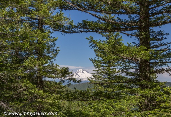 2014-07-Oregon-Washington-July-2014-161