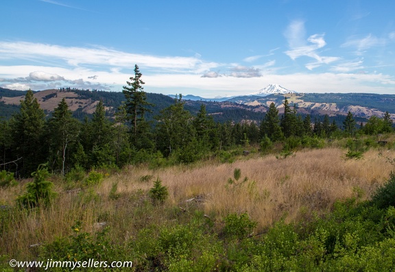 2014-07-Oregon-Washington-July-2014-173