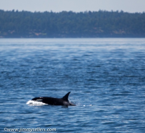 2014-07-Oregon-Washington-July-2014-463