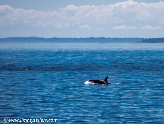 2014-07-Oregon-Washington-July-2014-476