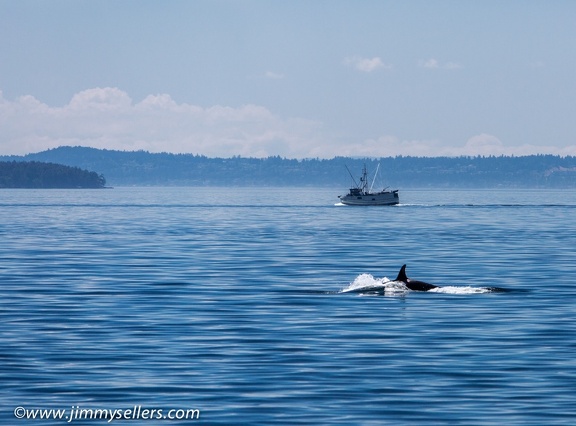 2014-07-Oregon-Washington-July-2014-490