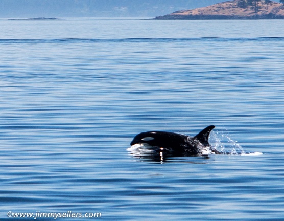 2014-07-Oregon-Washington-July-2014-493