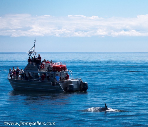 2014-07-Oregon-Washington-July-2014-540