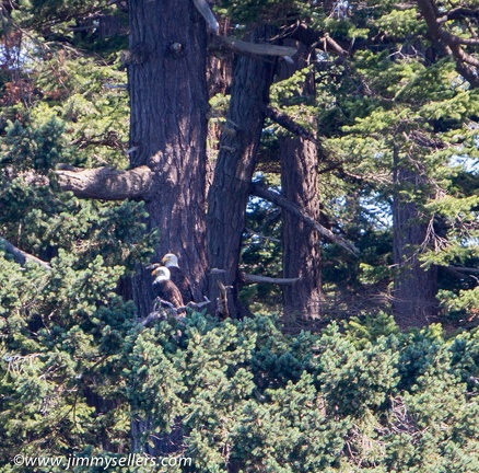 2014-07-Oregon-Washington-July-2014-614