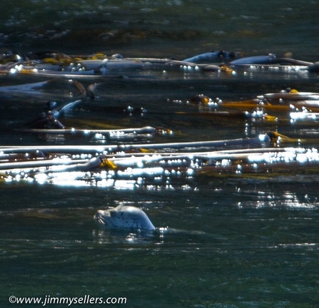 2014-07-Oregon-Washington-July-2014-640