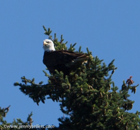 2014-07-Oregon-Washington-July-2014-644