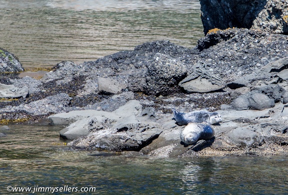 2014-07-Oregon-Washington-July-2014-656