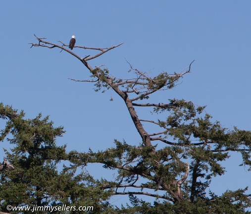 2014-07-Oregon-Washington-July-2014-665