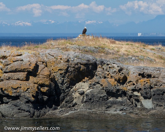 2014-07-Oregon-Washington-July-2014-682