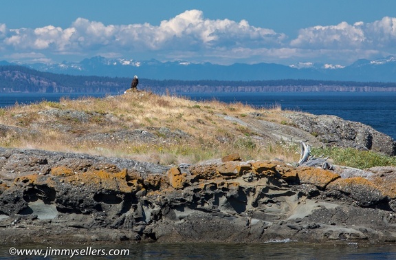 2014-07-Oregon-Washington-July-2014-691