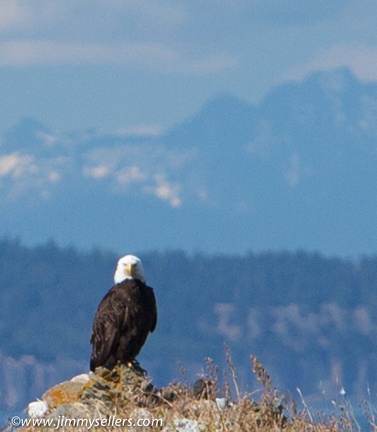 2014-07-Oregon-Washington-July-2014-693