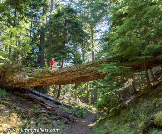 2014-07-Oregon-Washington-July-2014-773