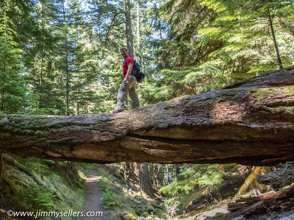 2014-07-Oregon-Washington-July-2014-781