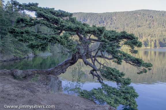 2014-07-Oregon-Washington-July-2014-941