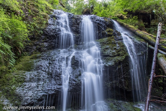 2014-07-Oregon-Washington-July-2014-976