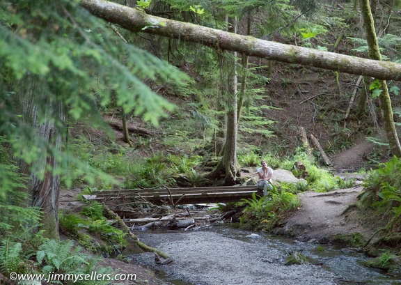 2014-07-Oregon-Washington-July-2014-987