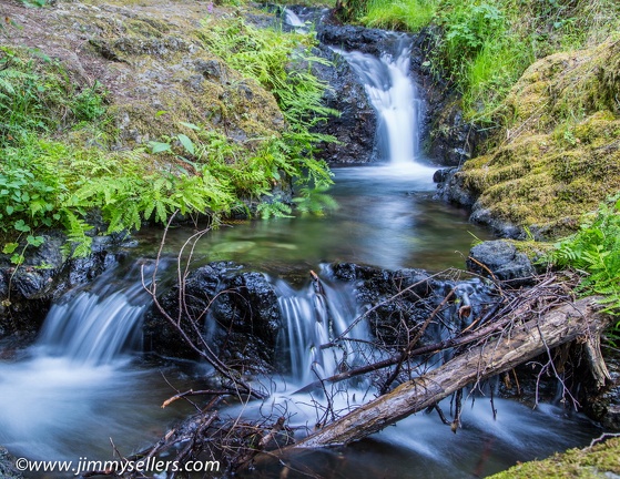 2014-07-Oregon-Washington-July-2014-1001